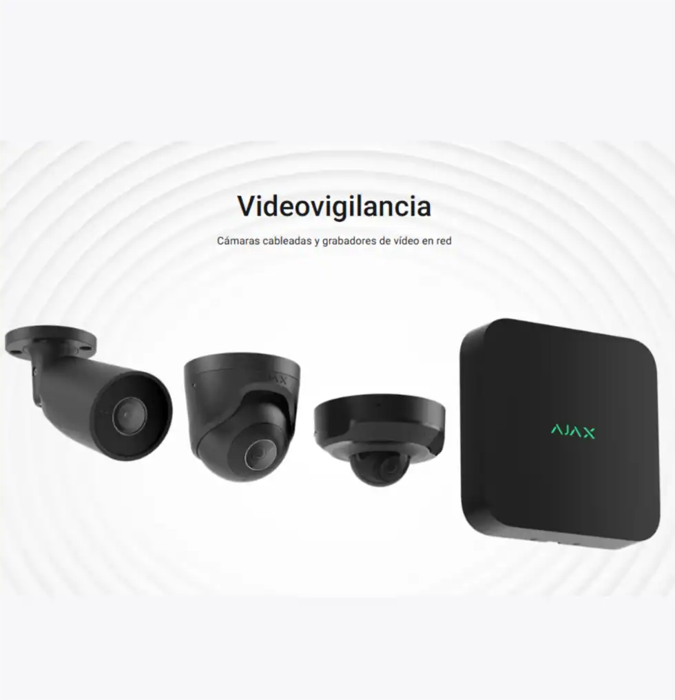 videovigilancia01-980x1016